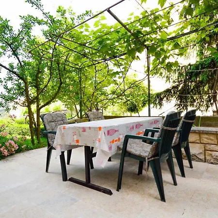 Studio Apartment Karolina II 11098 *