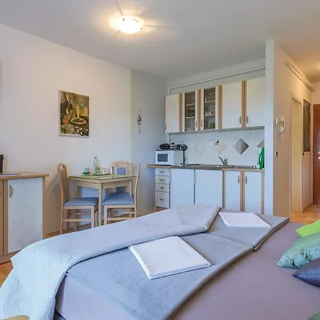 Studio Apartment Karolina II 11098 アパート
